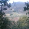 rosmel