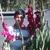 humer leon hunca pari