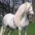 miladis