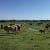 Rancho LOPOS