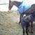 Raul Rubin DE Celis Vattuone