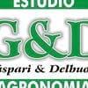 Estudio Gy D