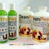 Clean Pees