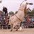 ELJUEZ DEL JARIPEO