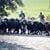 Caballistas Andaluces