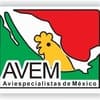 AVEM Mexico