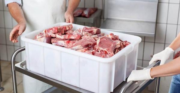 CONAFAB: Desafíos en la producción de proteína animal - Image 1