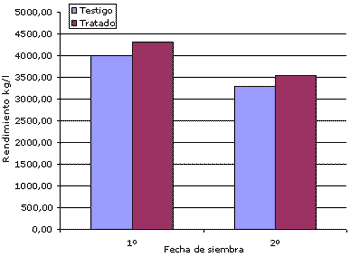 Diagnóstico y manejo de enfermedades de fin de ciclo en soja en lotes de productores de Marcos Juárez y su zona de influencia - Image 8