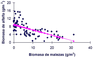 Control químico de malezas en alfalfa - Image 2