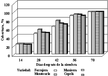 Evaluación del rendimiento de las principales variedades de batata (Ipomoea batatas, Lam) en la República Dominicana - Image 1