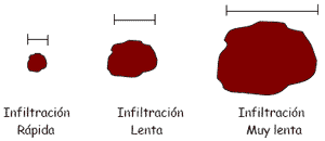 Mediciones simples para evaluar el estado de la calidad y salud del suelo bajo pasturas - Image 7
