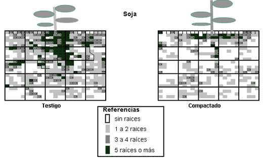 Aportes del trigo a la sustentabilidad del sistema agrícola - Image 5