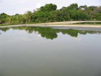 Tratamiento biológico de aguas residuales aplicable a la industria avícola - Image 8