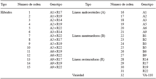 Híbridos y Progenitores de Sorgo Tolerantes al Frío - Image 1