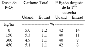 Fijación de Fósforo en Suelos Derivados de Ceniza Volcánica - Image 2