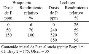 Fijación de Fósforo en Suelos Derivados de Ceniza Volcánica - Image 6