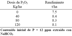 Fijación de Fósforo en Suelos Derivados de Ceniza Volcánica - Image 10