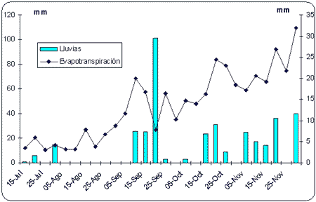 Evaluación del efecto de un fertilizantes foliar nitrogenado sobre el rendimiento, la calidad y la eficiencia de uso del nitrógeno en trigo - Image 2