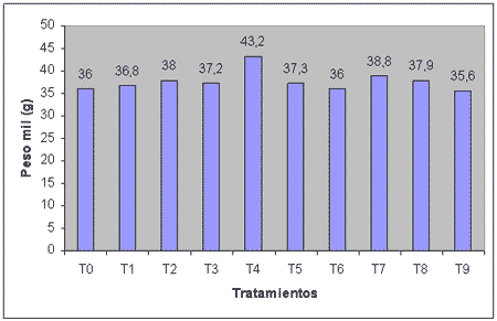 Evaluación del efecto de un fertilizantes foliar nitrogenado sobre el rendimiento, la calidad y la eficiencia de uso del nitrógeno en trigo - Image 6