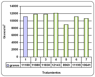 Alternativas de fertilización más rentables para cebada y trigo. - Image 17