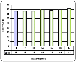 Alternativas de fertilización más rentables para cebada y trigo. - Image 18