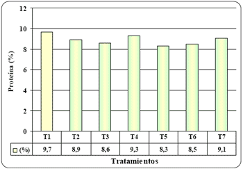 Alternativas de fertilización más rentables para cebada y trigo. - Image 19