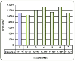 Alternativas de fertilización más rentables para cebada y trigo. - Image 23
