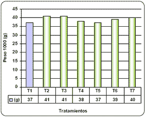 Alternativas de fertilización más rentables para cebada y trigo. - Image 24