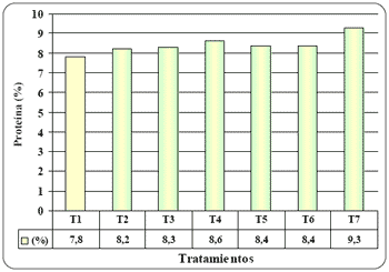 Alternativas de fertilización más rentables para cebada y trigo. - Image 25