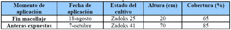 Alternativas de fertilización más rentables para cebada y trigo. - Image 5