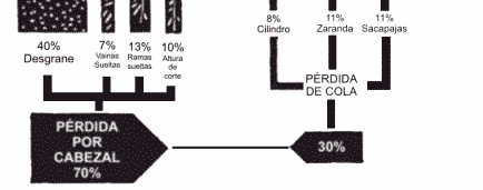 Determinación de Pérdidas durante la Cosecha de Soja - Image 2