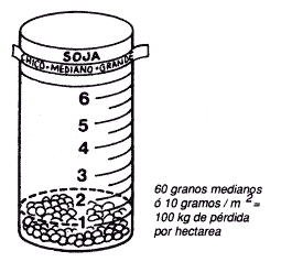 Determinación de Pérdidas durante la Cosecha de Soja - Image 5