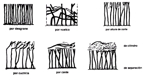 Determinación de Pérdidas durante la Cosecha de Soja - Image 7