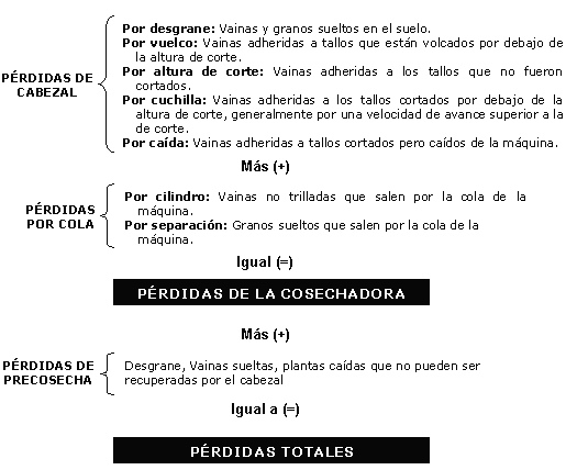 Determinación de Pérdidas durante la Cosecha de Soja - Image 8