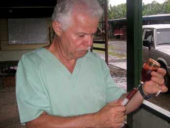 Ozonoterapia en equinos - Image 2