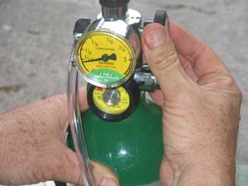 Ozonoterapia en equinos - Image 3