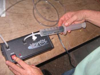 Ozonoterapia en equinos - Image 4