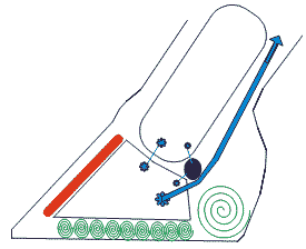 Laminitis e infosura - Image 1