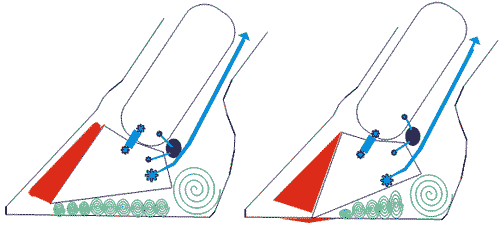 Laminitis e infosura - Image 2