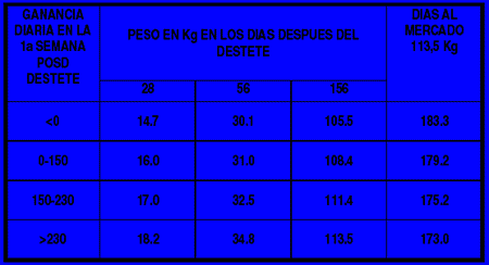 Manejo del destete en sistemas semi-intensivos - Image 8