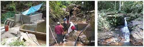 Sistema de Agua Electrolizada para la desinfección de agua en zonas rurales - Image 1