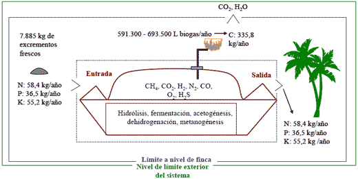 Biogás: Beneficios económicos utilizando un biodigestor de polietileno de bajo costo - Image 1