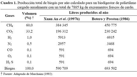 Biogás: Beneficios económicos utilizando un biodigestor de polietileno de bajo costo - Image 2