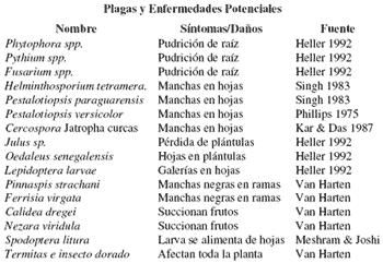 Agro-Energía - Image 1