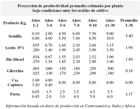 Agro-Energía - Image 3