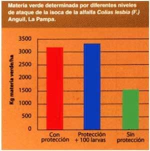 Manejo integrado de plagas - Image 7