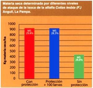 Manejo integrado de plagas - Image 8