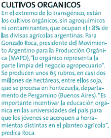 Argentina: un mar de soja en el horizonte - Image 8