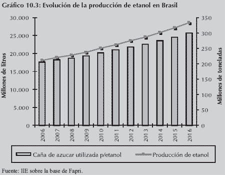 Biocombustibles, una oportunidad - Image 3