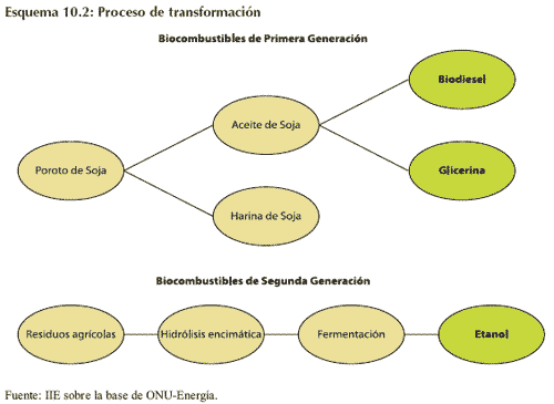 Biocombustibles, una oportunidad - Image 6